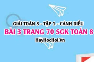 Giải bài 3 trang 70 Toán 8 Tập 1 SGK Cánh Diều